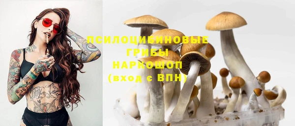 не бодяженный Корсаков