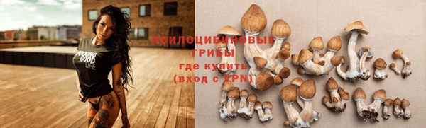 не бодяженный Корсаков