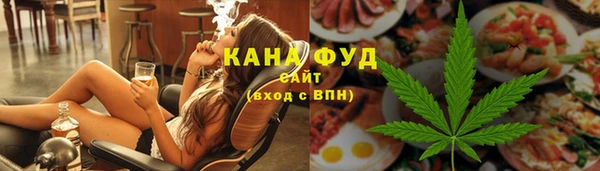 шишки Коряжма
