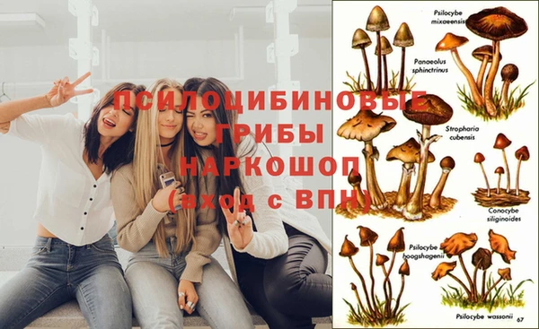 не бодяженный Корсаков