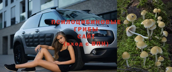 не бодяженный Корсаков