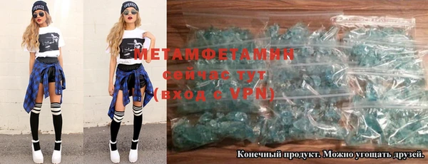 шишки Коряжма