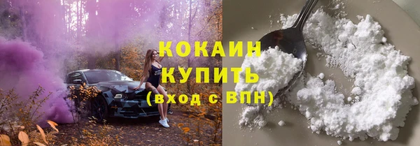 шишки Коряжма