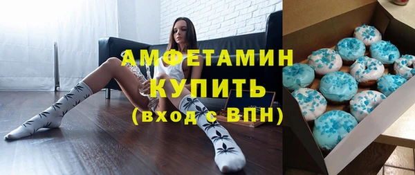 шишки Коряжма